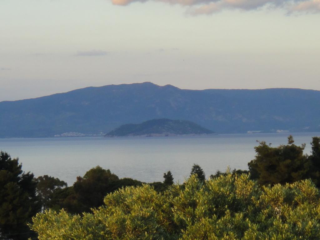 Daphne Holiday Club Halkidiki Dış mekan fotoğraf